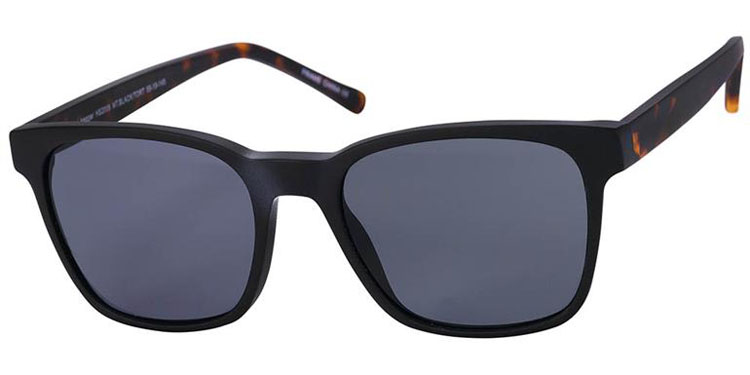 2 - HS2008 - Black Tortoise 2 - HS2008 - Black Tortoise